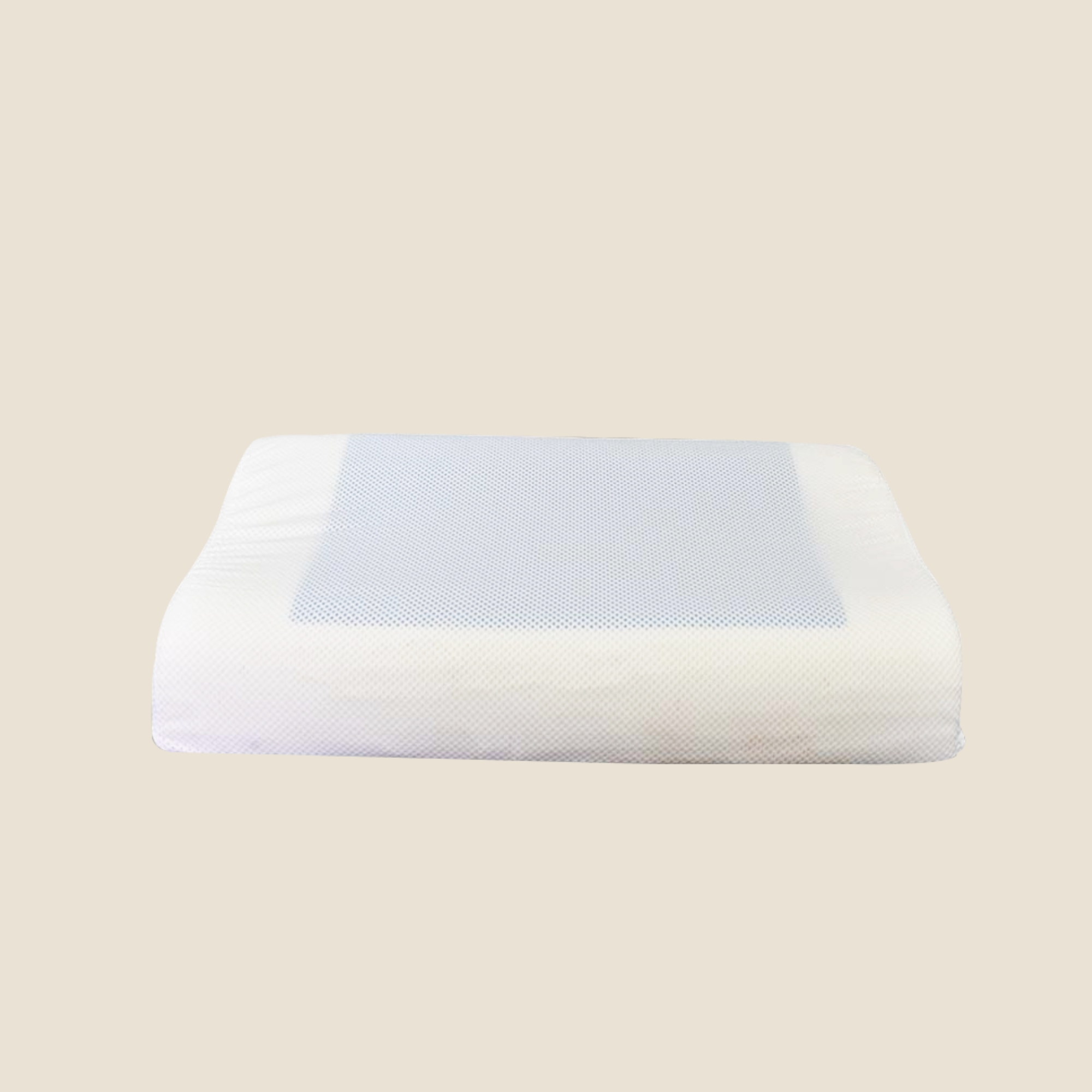 ALMOHADA PARÍS 1